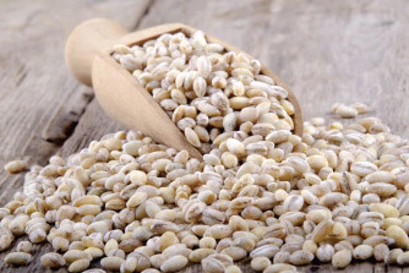 barley