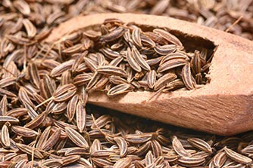 caraway-seeds