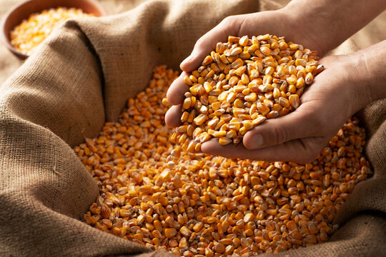 millet