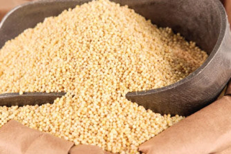millet